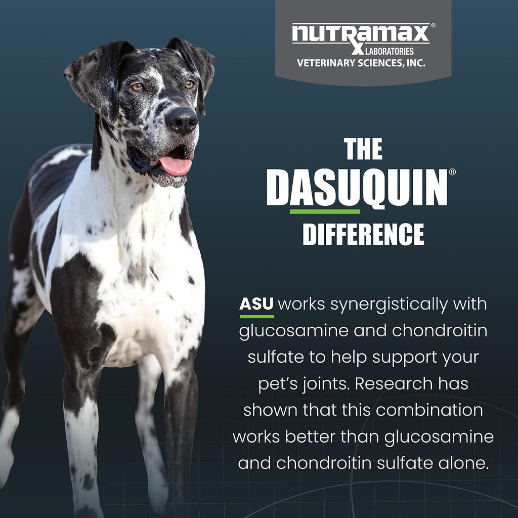 Nutramax Dasuquin MSM Joint Supplement, Large Dogs Chewable Tablets, 150ct | Glucosamine and Chondroitin, ASU, MSM, Supports Healthy Joints, For Dogs Over 60 lbs, All Ages, Chewable Tablets