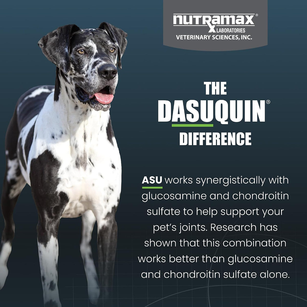 Nutramax Dasuquin MSM Joint Supplement, Large Dogs Chewable Tablets, 150ct | Glucosamine and Chondroitin, ASU, MSM, Supports Healthy Joints, For Dogs Over 60 lbs, All Ages, Chewable Tablets