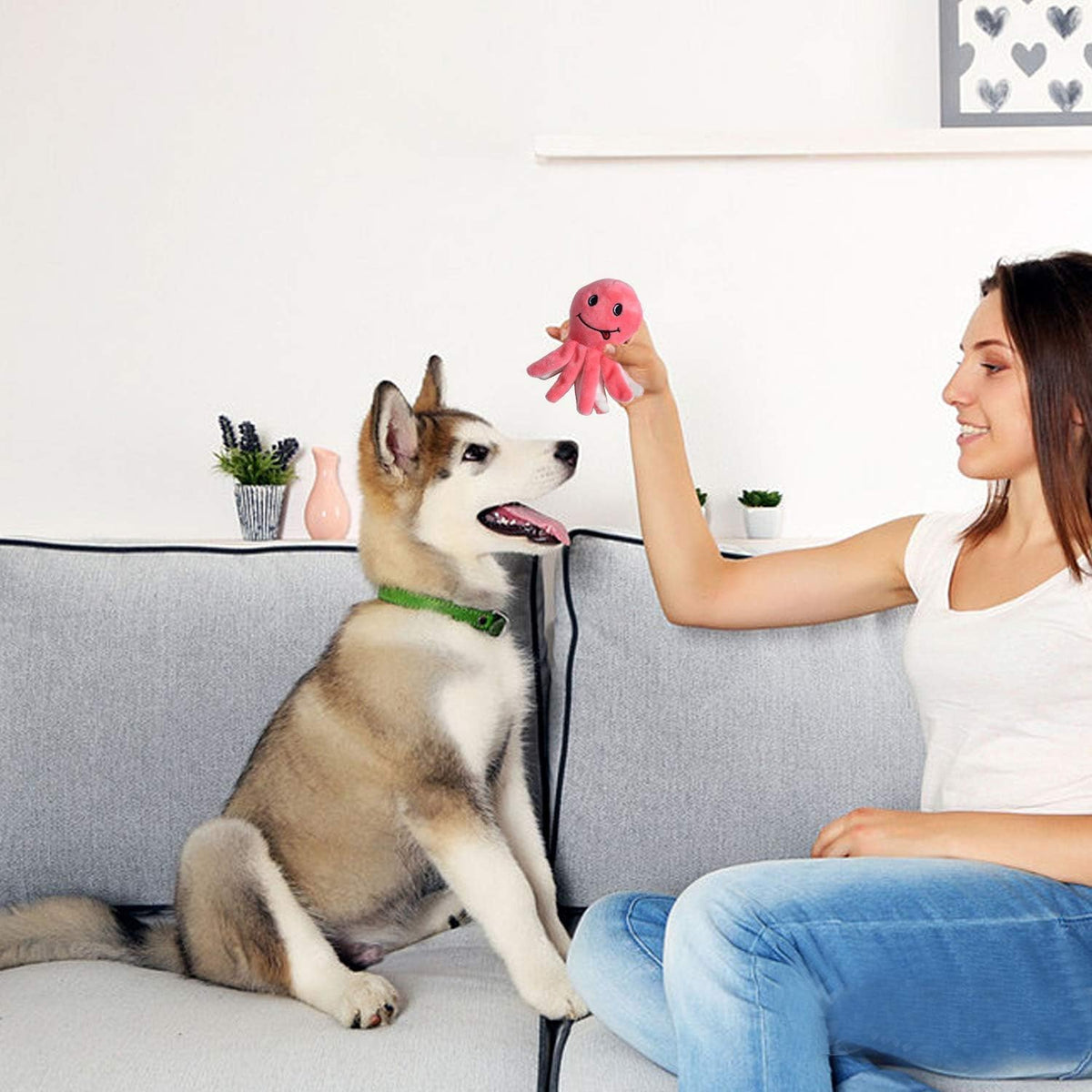 LEGEND SANDY Squeaky Plush Dog Toy Pack for Puppy, Small Puppy Chew Toys | 12 pcs Puppy Toys, Dog Toys Bulk with Squeakers, Cute Soft Pet Toy for Small Medium Size Dogs, Gift fot Pet