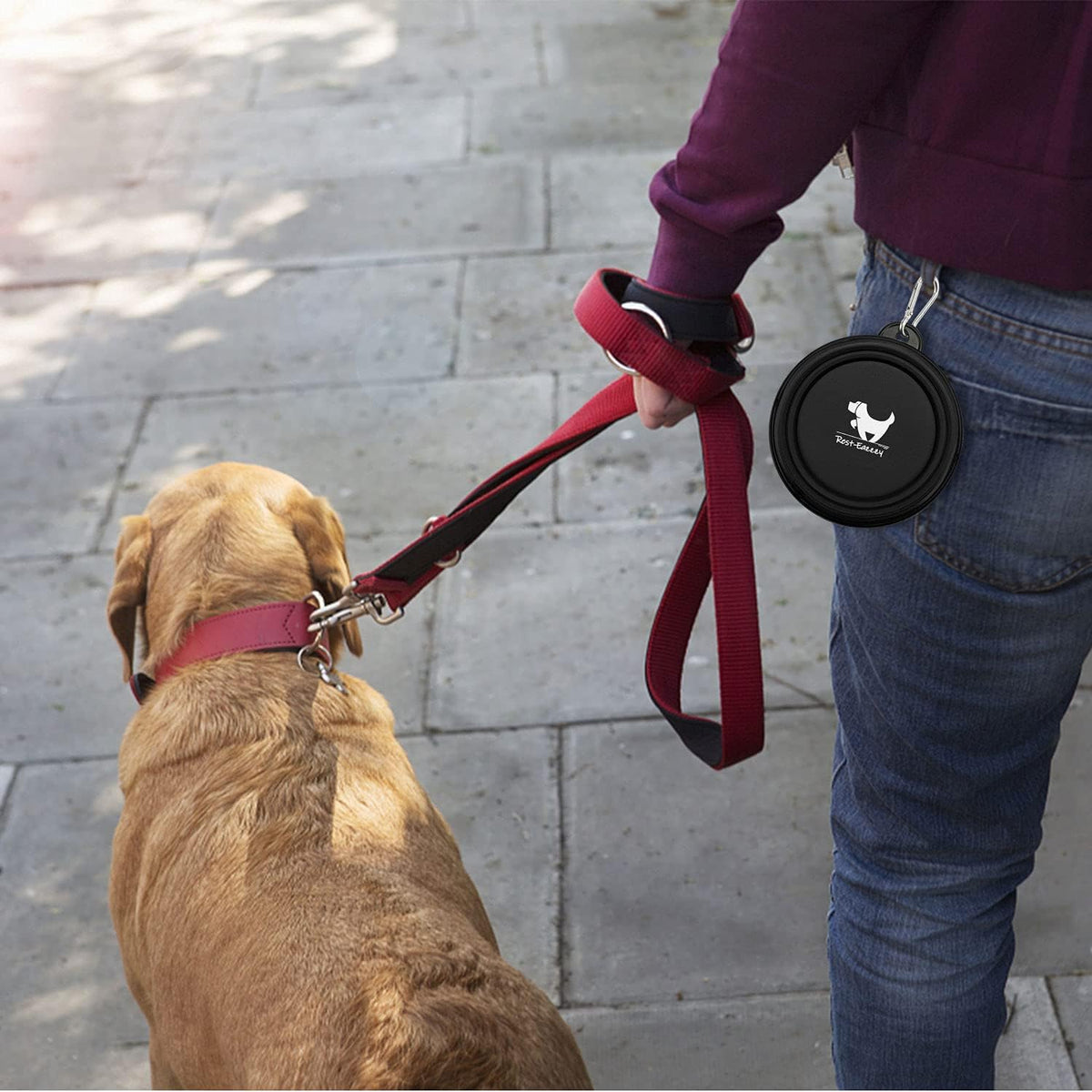 Rest-Eazzzy Collapsible Dog Bowls, 2 Pack Sturdy Portable Dog Water Bowls | Wear-Resistant TPE, Anti-Dust Foldable Travel Dog & Cat Bowls for Camping Walking Hiking with Carabiners