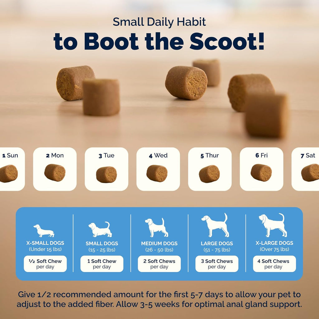 Vetnique Glandex for Dogs Anal Gland Chews 60ct Pumpkin + Digestive Enzymes | Anal Gland Dog Treats, Boot the Scoot + Fishy Odor Support, Fiber, Probiotics, Quercetin + Apple Pectin, Peanut Butter