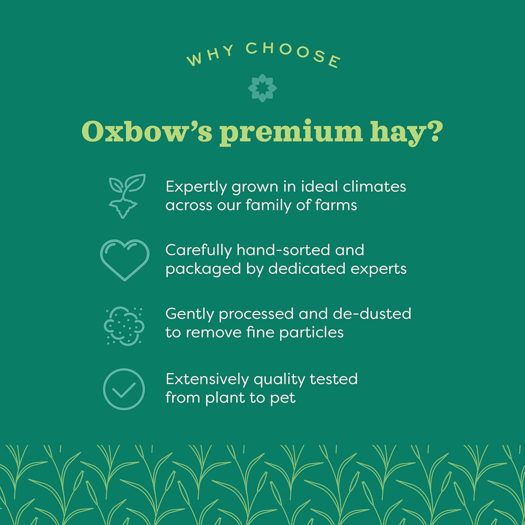 Oxbow Western Timothy Hay, Rabbit & Guinea Pig Hay, High Fiber, USA, 90 oz