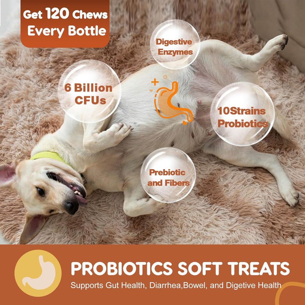 ZEBORA Probiotics for Dogs, Digestive & Itch Relief, 120 Soft Chews | Dog Probiotics for Digestive Health, Pumpkin & Fish Oil, Freshens Bad Breath, Easy to Break Apart, Daily Gut & Skin Support