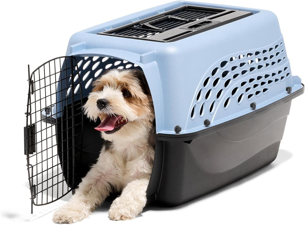 Petmate Two Door Plastic Pet Kennel for Small Dogs and Cats, 24in, Blue
