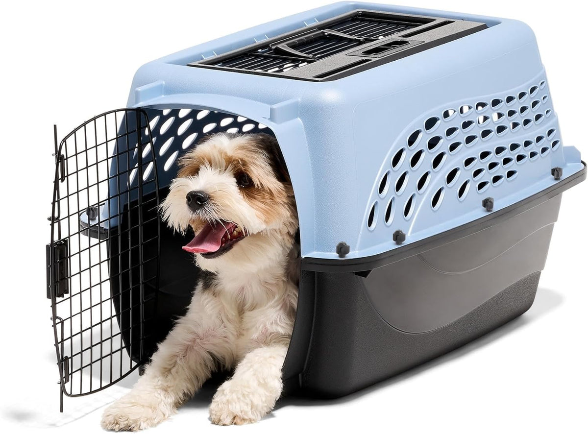 Petmate Two Door Plastic Pet Kennel for Small Dogs and Cats, 24in, Blue