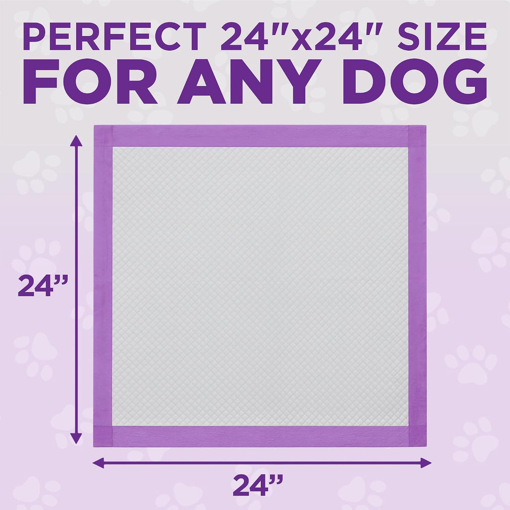 POOPH® Potty Pads™ 24 x 24 in, 50 Count | Disposable 24 x 24 in potty pads with absorbent core and odor control. Includes 50 pads