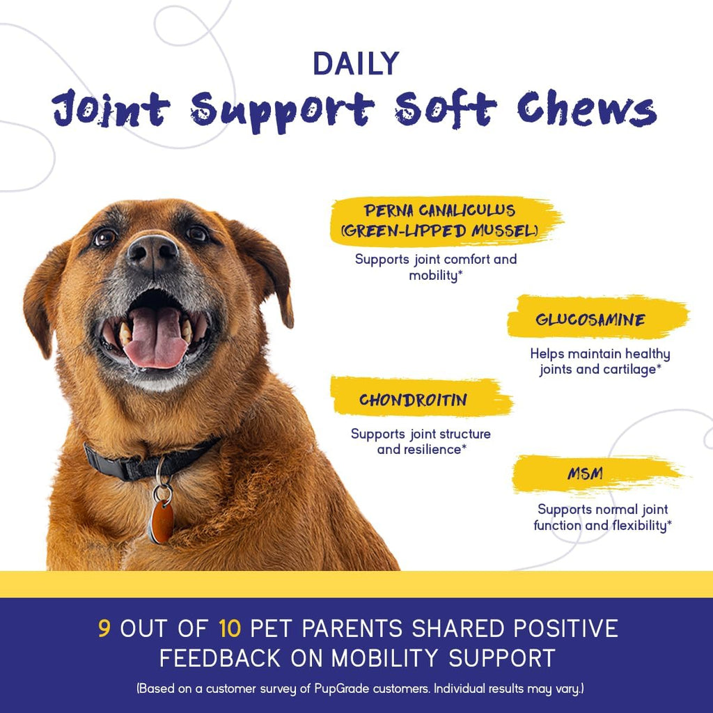 PupGrade Joint Support for Dogs, Beef Flavor - 60 Soft Chews | Glucosamine + Chondroitin with MSM and Perna - Supports Normal Hip & Joint Health for Occasional Discomfort