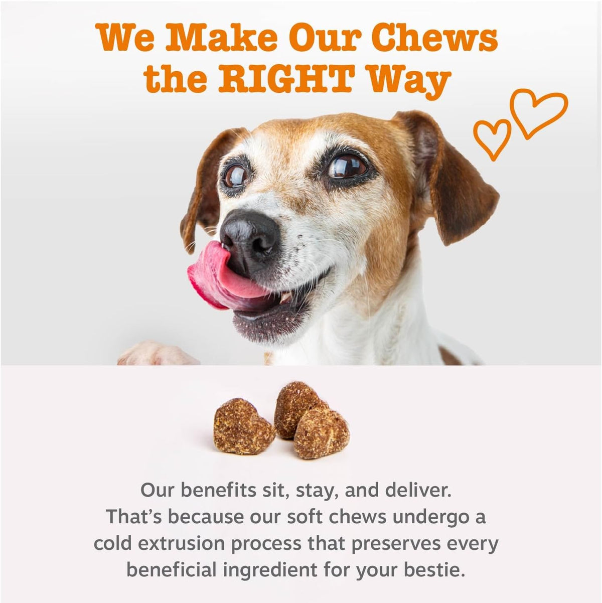Zesty Paws Probiotics for Dogs - Gut Health for Dogs, Pumpkin, 90 Ct