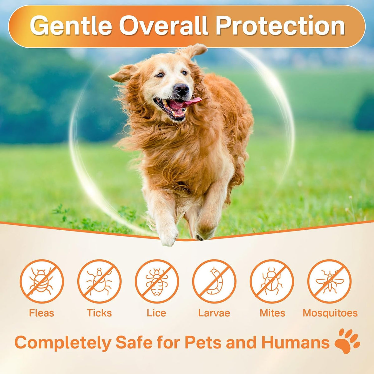 Puyrzoe Flea and Tick Prevention for Dogs, Dog Flea and Tick Treatment Chew | 5-In-1 Flea and Tick Chews, Flea & Tick Prevention | Hip & Joint | Skin & Coat | Immunity Support | Digestive for All Breeds