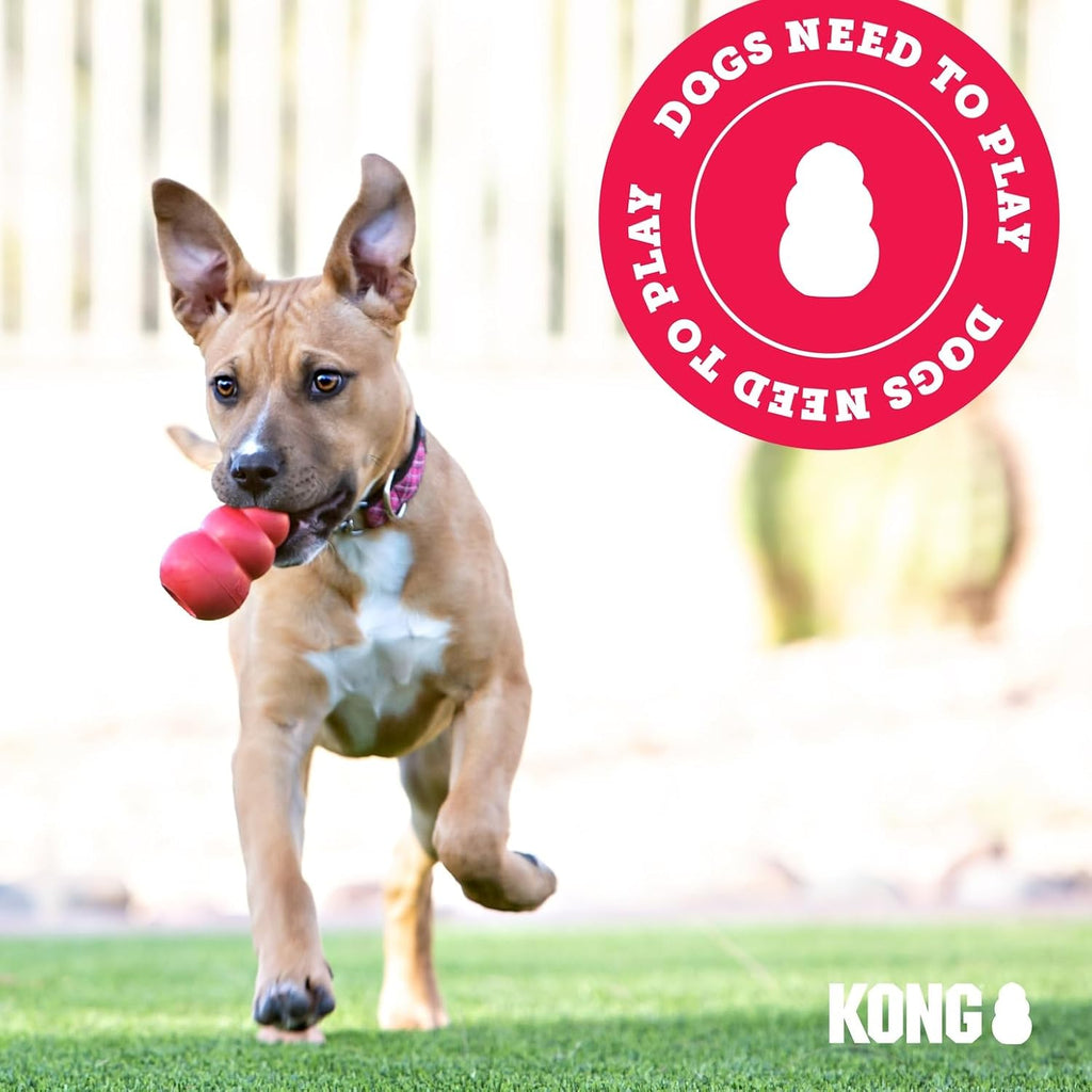 KONG Flyer, Natural Rubber Flying Disc Fetch Toy, for Medium/Large Dogs | Durable KONG Natural Rubber Flying Disc for Fetch, a Safer Disc for Healthy Outdoor Activity & Active Play