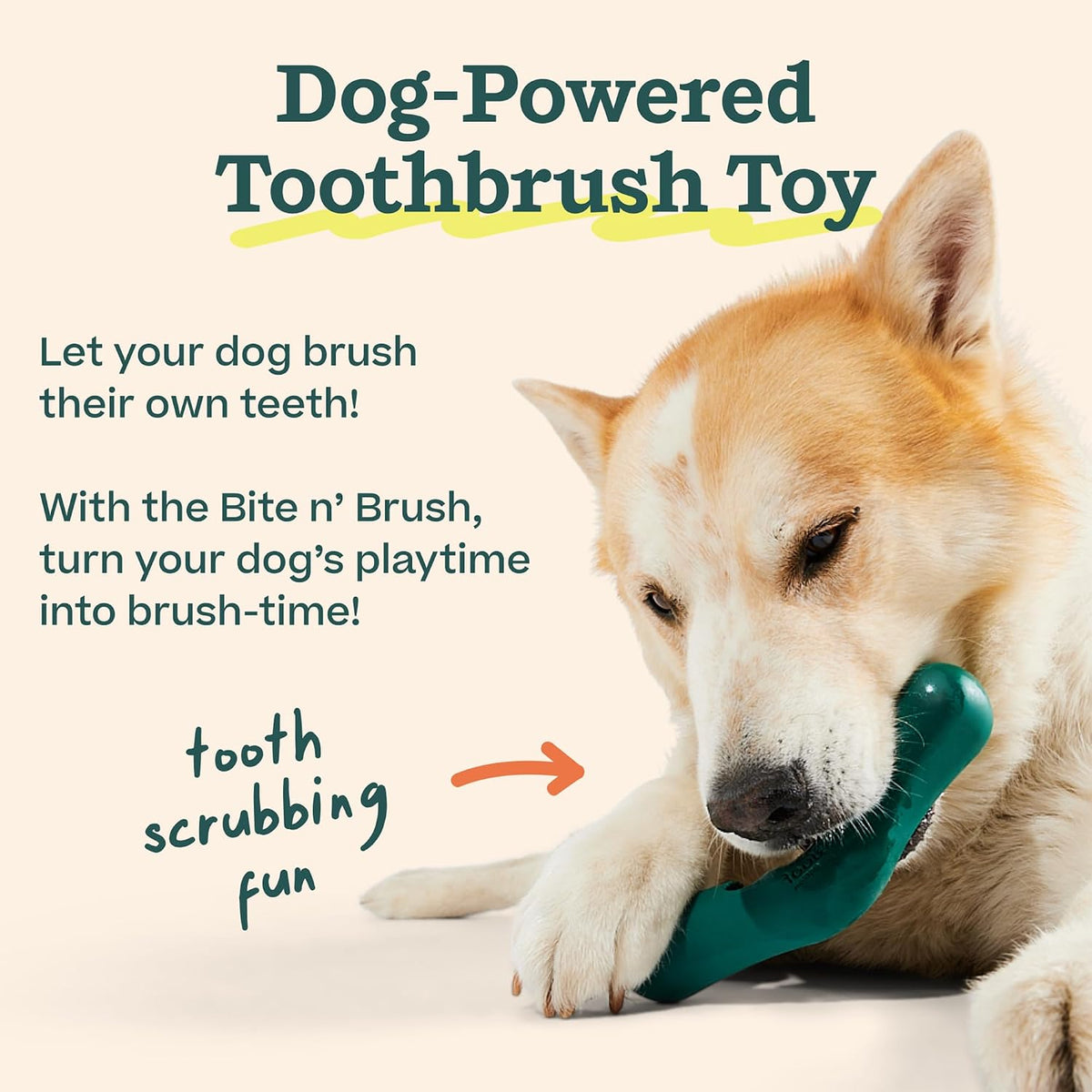 WOOF Bite n' Brush Dog Dental Chew Toy Refills, Chicken, 18 Count | Dental refill treats, chicken & beef options, oral care ingredients, reusable with Bite n' Brush