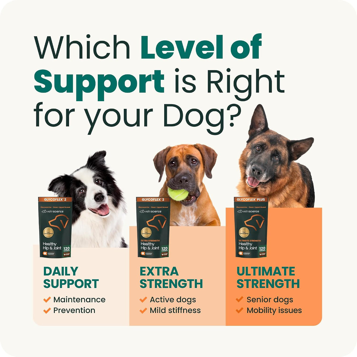 VetriScience Extra Strength Healthy Hip & Joint for Dogs, Chicken, 120ct | Supports Joint Health & Mobility, Vet-formulated w/Glucosamine, MSM, DMG & Green-Lipped Mussel