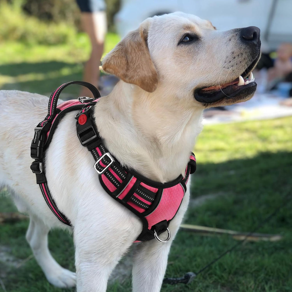 rabbitgoo Dog Harness for Large, No Pull 3 Buckles Easy On & Off
