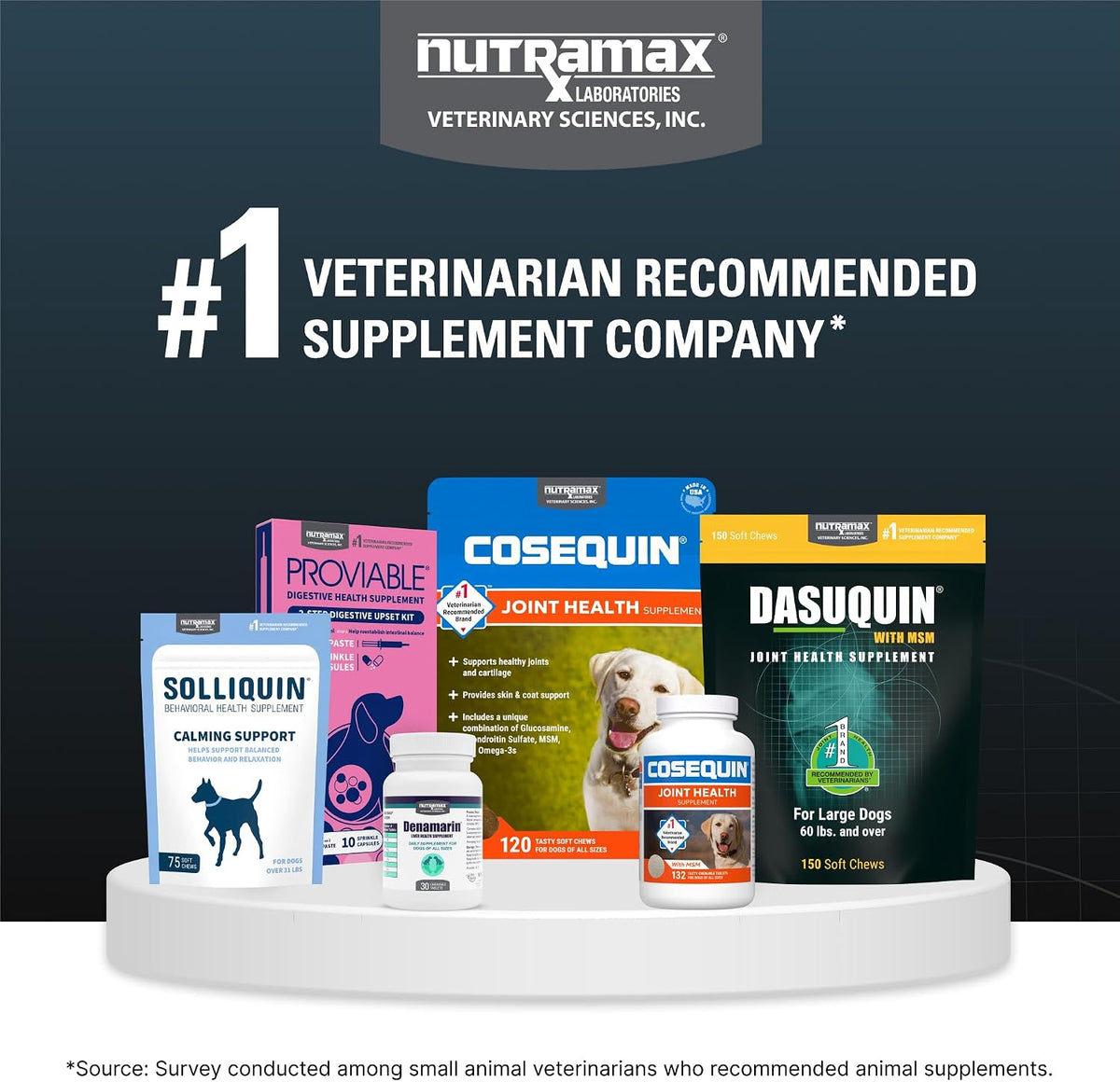 Nutramax Dasuquin Joint Supplement for Large Dogs, Soft Chews, 84ct | Glucosamine and Chondroitin Soft Chews for Large Dogs, with ASU, Supports Healthy Joints, For Dogs Over 60 lbs, All Ages