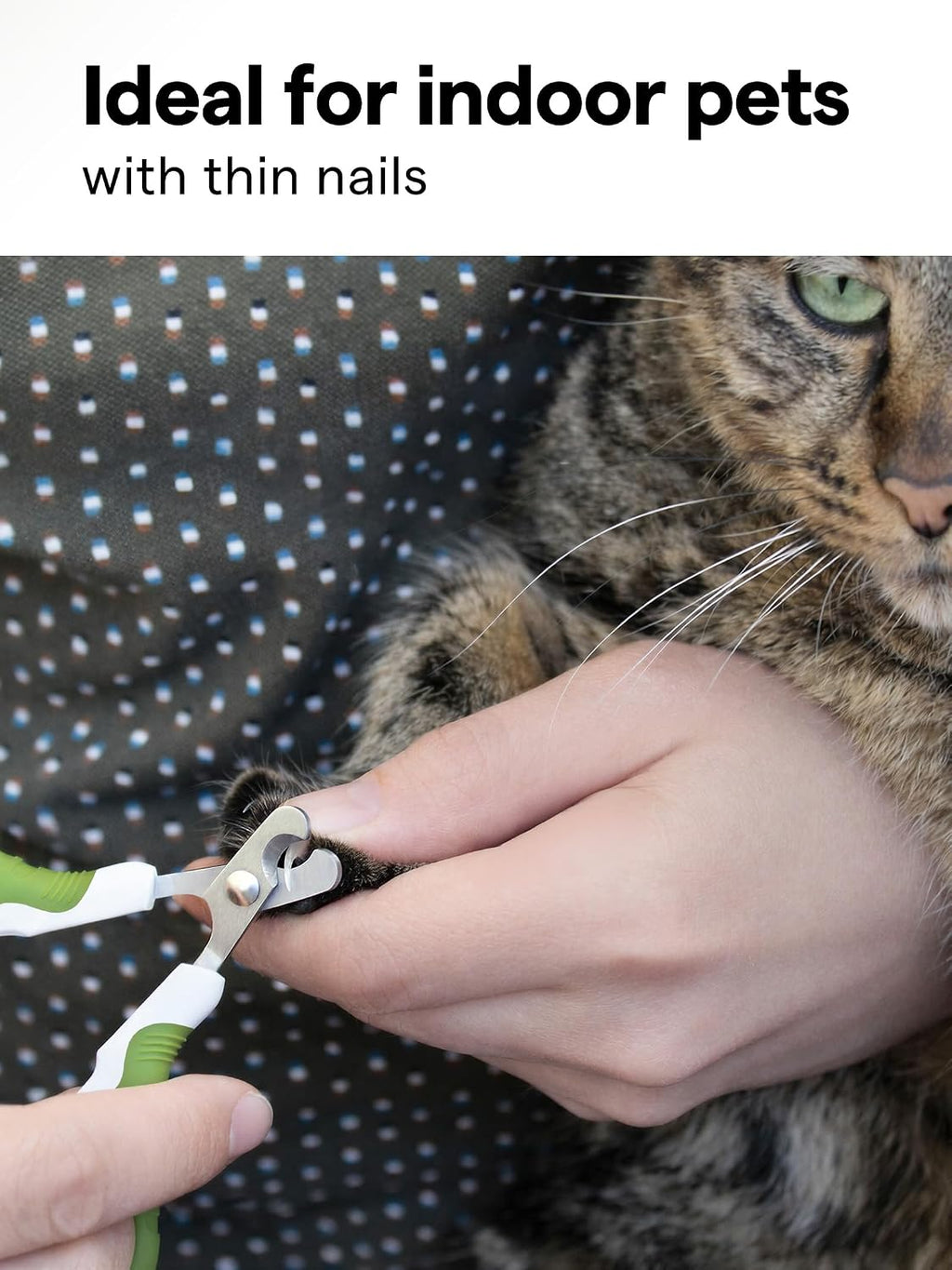Pet Nail Clippers for Indoor Cats & Small Animals - Precision Angled Blades & Steady Grip - Ideal for Kittens Tiny Dogs Rabbits Birds - Nail Trimmer & Claw Scissors for Home Grooming - eBook + App
