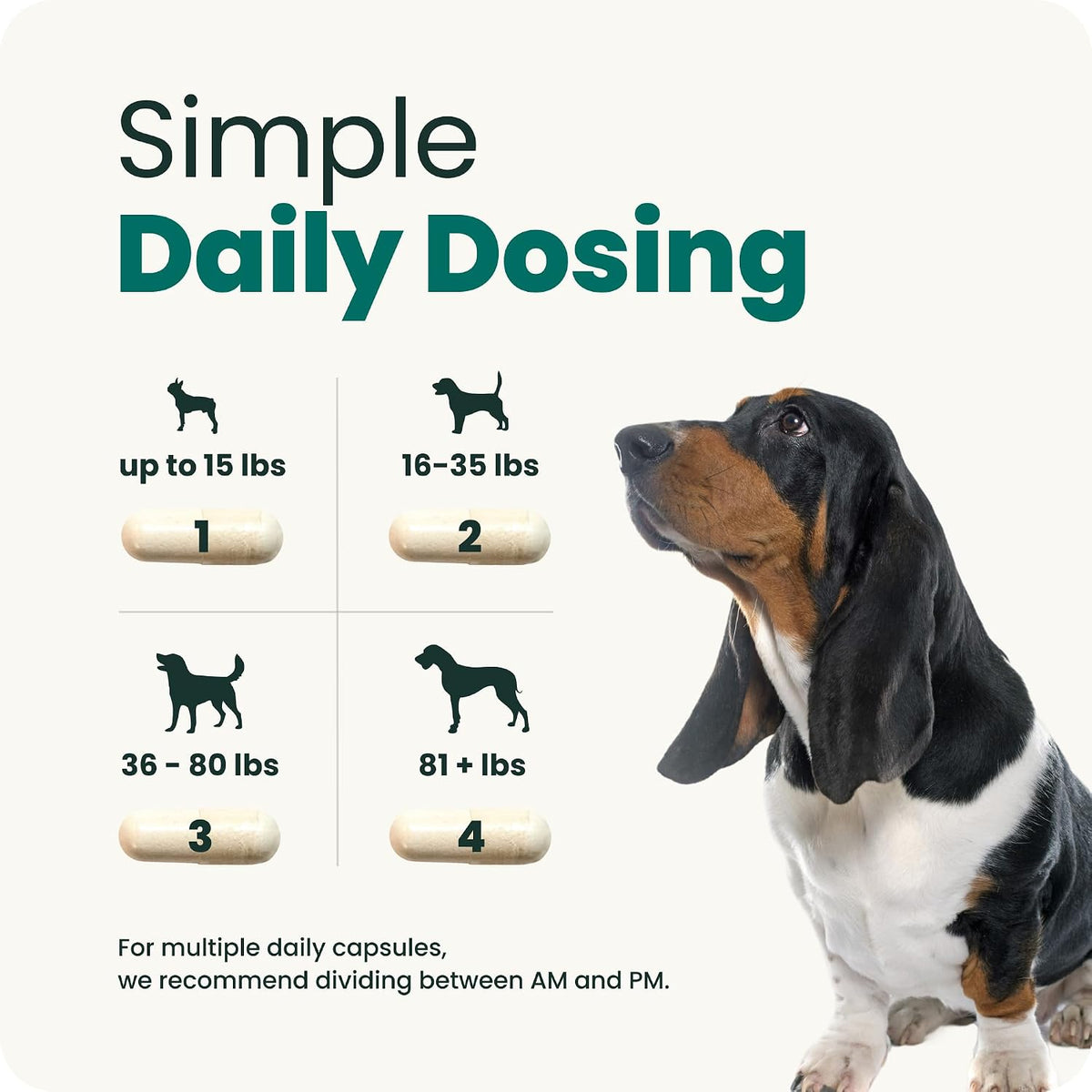 VetriScience Healthy Spine & Disc for Dogs, 180 Count | Back & Spinal Support Chondroitin & Taurine for Dogs, Perfect for Dachshunds, Corgis, Frenchies, Basset Hounds & More