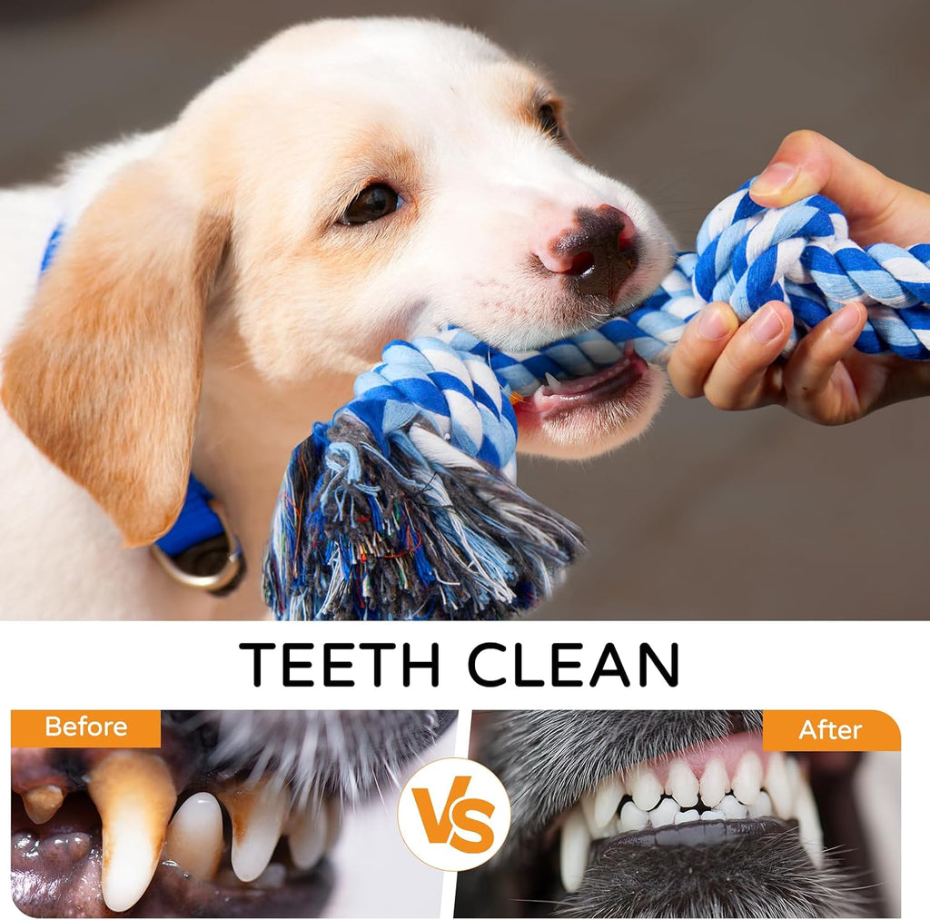 TLAZZ 2 Pack Chew Toys, for Aggressive Chewers | Dog Rope Toys, for Medium Large Breed, Teeth Cleaning Chew Toys Tug Toy, for Dog Boredom