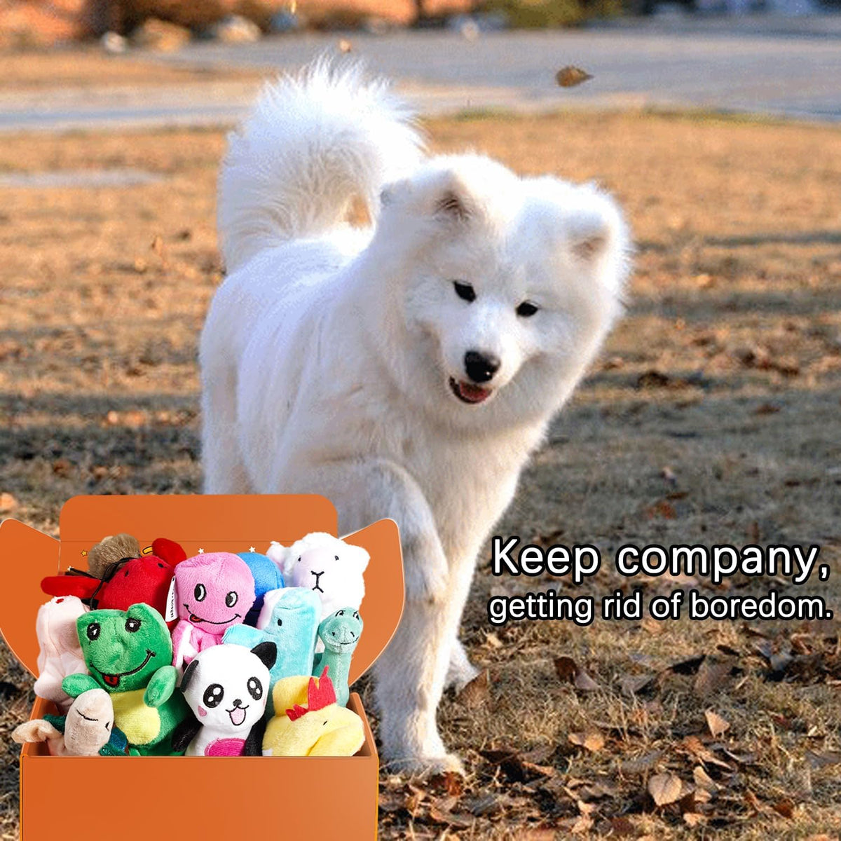LEGEND SANDY Squeaky Plush Dog Toy Pack for Puppy, Small Puppy Chew Toys | 12 pcs Puppy Toys, Dog Toys Bulk with Squeakers, Cute Soft Pet Toy for Small Medium Size Dogs, Gift fot Pet