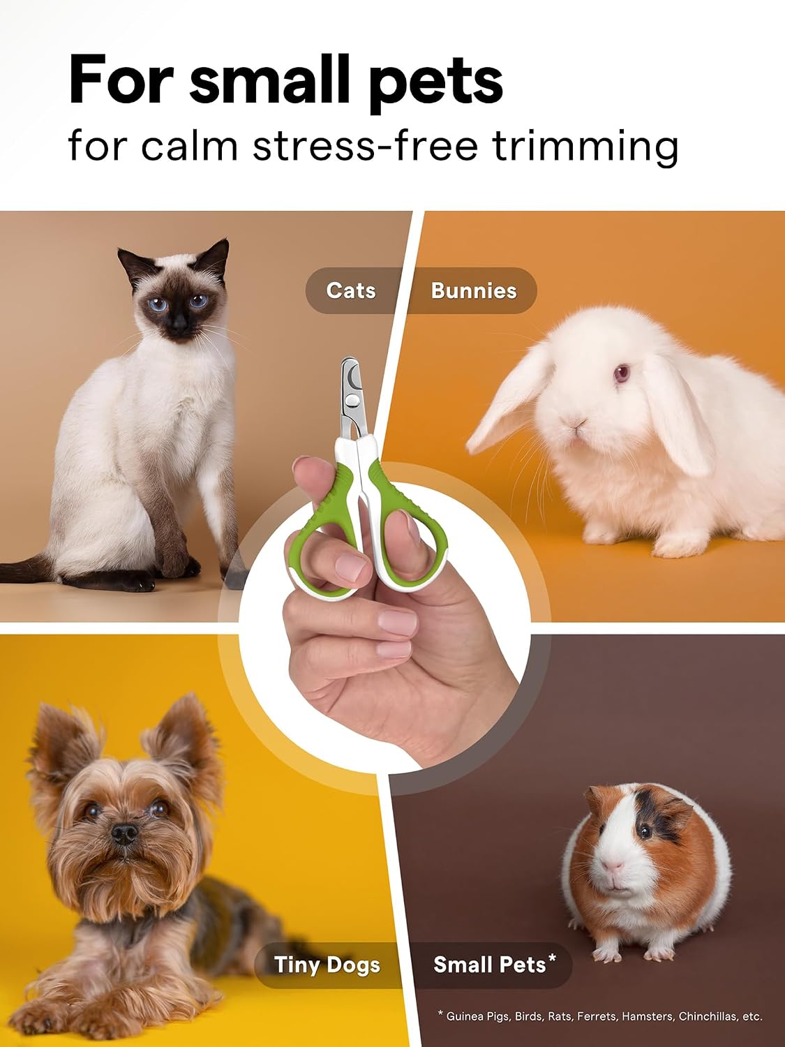Pet Nail Clippers for Indoor Cats & Small Animals - Precision Angled Blades & Steady Grip - Ideal for Kittens Tiny Dogs Rabbits Birds - Nail Trimmer & Claw Scissors for Home Grooming - eBook + App