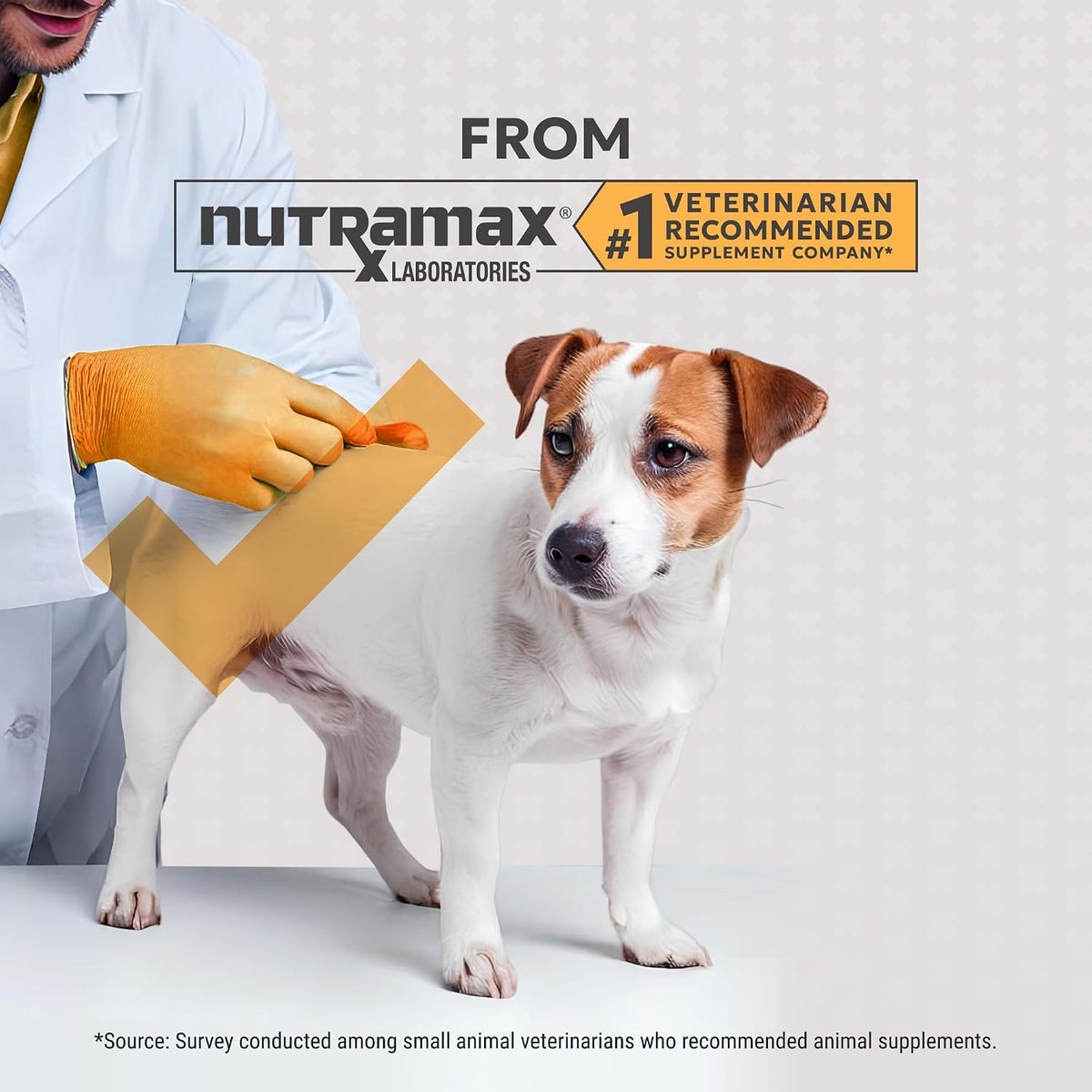 Nutramax Filaquin Anal Gland Supplement for Dogs, Soft Chews, 90ct | Dog Anal Gland Support Chews, Prebiotics & Postbiotics, Psyllium Husk Fiber, From the Same Company as Cosequin and Proviable