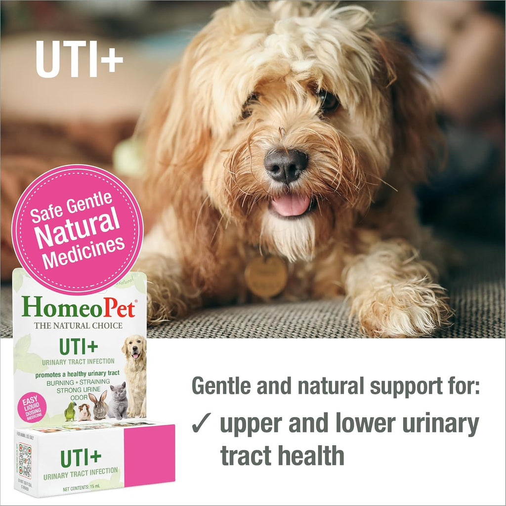 HomeoPet UTI+ Urinary Tract Supplement for Dogs and Cats, 15 Milliliters