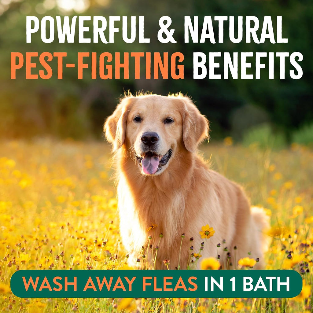 TropiClean Flea and Tick Shampoo for Dogs, Max Strength Formula, 20oz | Powerful & Natural Defense | Flea & Tick Prevention | For Large & Small Dogs | Made in USA