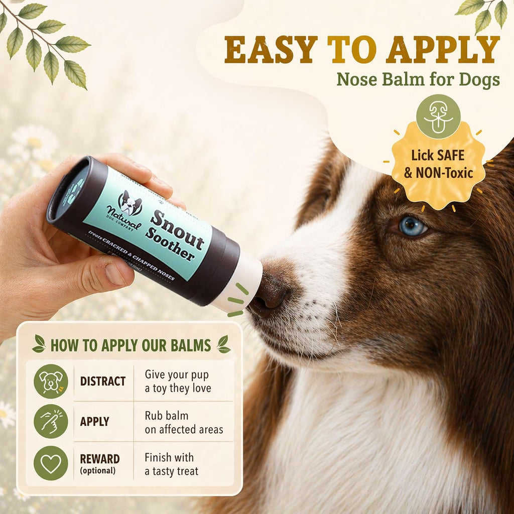 Natural Dog Company Snout Soother Dog Nose Balm, 0.15 oz Travel Stick | Moisturizer for Dry Crusty Noses, Coconut Oil & Shea Butter, Summer Care for Outdoor Dogs, Hot Weather & Beach Days