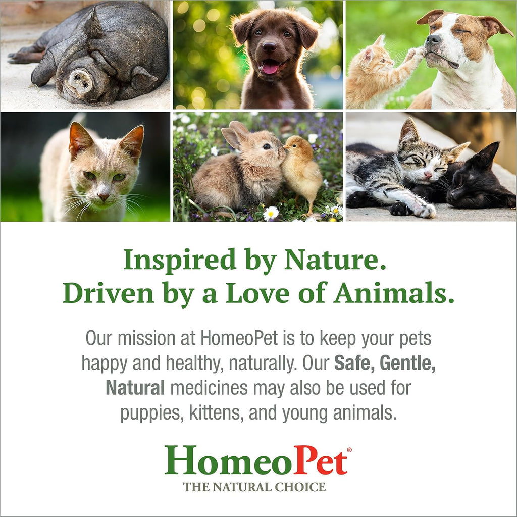 HomeoPet UTI+ Urinary Tract Supplement for Dogs and Cats, 15 Milliliters