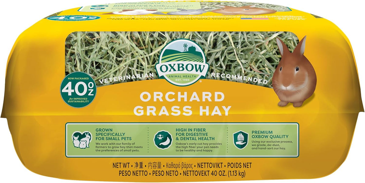 Oxbow Orchard Hay, Rabbit & Guinea Pig Hay, Hand-Sorted, De-Dusted, 40 oz