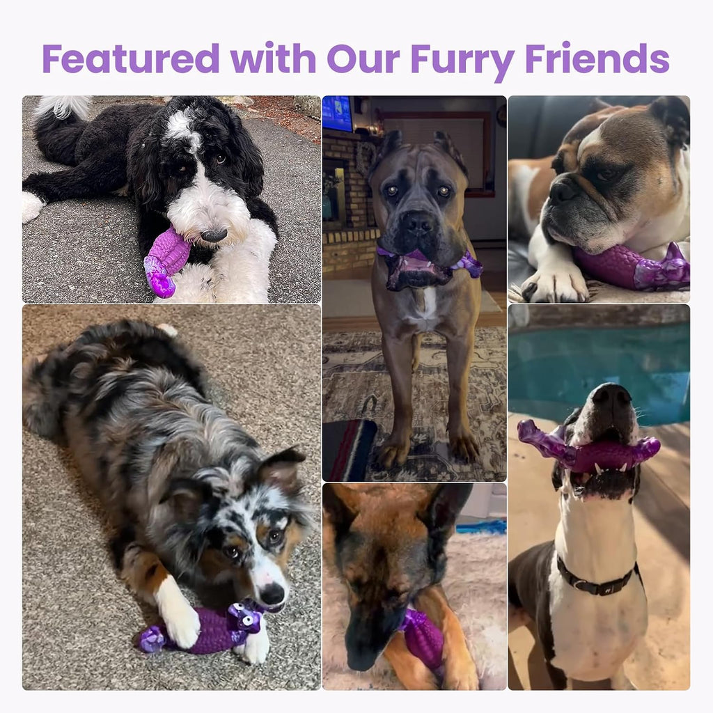 HGB Tough Dog Toys for Aggressive Chewers, Squeaky Indestructible Chew Toy | Alligator Dog Toy for Medium & Large Dogs, Hard Nylon & Natural Rubber, Teeth Cleaning Texture, Bacon Flavor, Keeps Dogs Busy