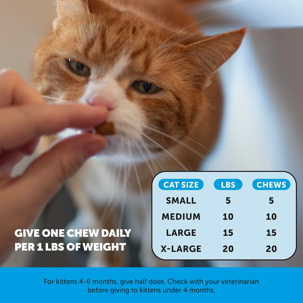 Cat Skin & Coat Supplement Crunchy Creamy Chews - Salmon Oil for Cats Omega 3 Itchy Dry Skin Relief - Feline Shedding Control - Biotin Vitamins for Indoor Cats Shiny Soft Coat (30-Day Supply)