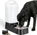 Automatic Dog Water Bowl Dispenser - 2.4 Gallon Gravity Pet Water Dispenser with 304 Stainless Steel Bowl, Dog Auto Feeders Bowls Self Waterer, Easy-Carry Handle for Large Dogs & Cats, Multi-Pet Home