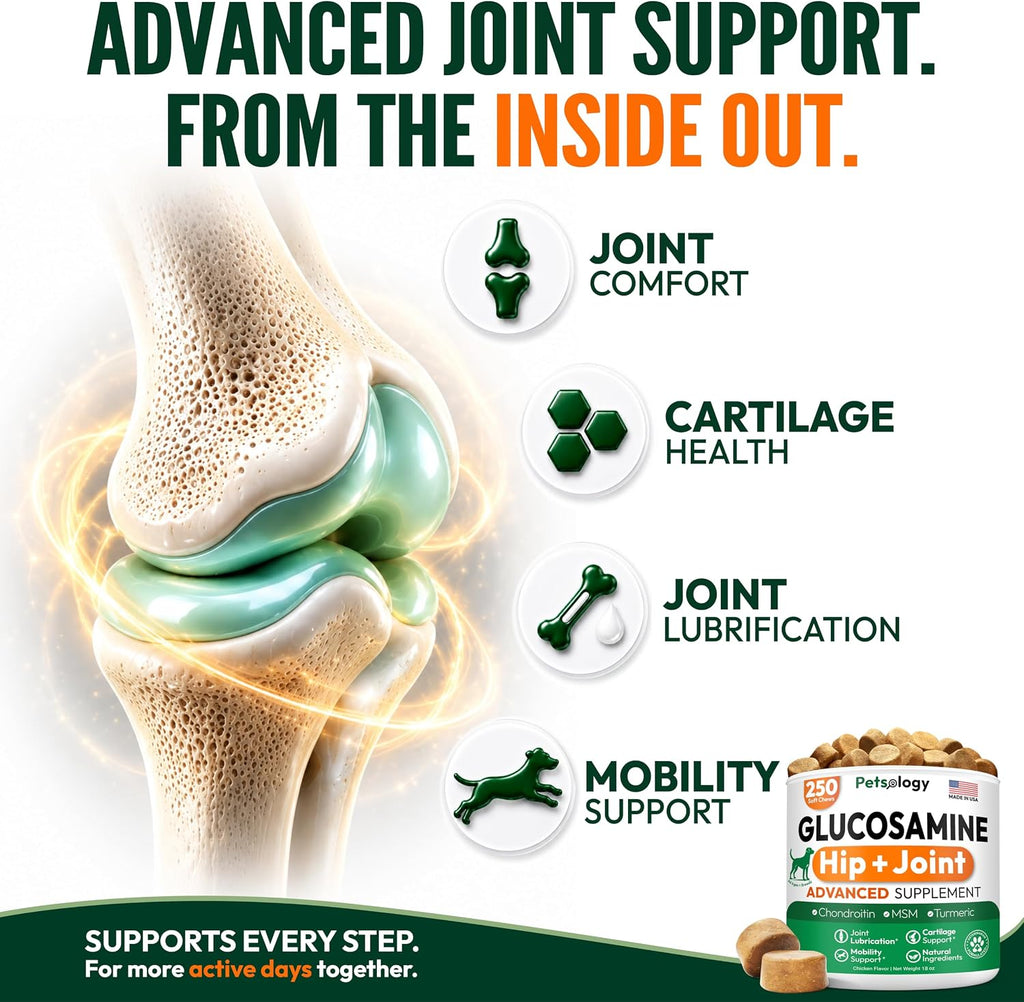 Glucosamine for Dogs - 250 Chews with Chondroitin, Hip and Joint Supplement | MSM - Turmeric - Omega 3 - Joint Pain Relief - Advanced Dog Health Support for Large, Medium & Small Breeds - Made in USA