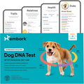 Embark Breed & Health Dog DNA Test – 400+ Breeds, 270+ Health Risks | Only dog DNA test with allergy risk scores. Coat traits, canine relative finder, genetic cancer risk score included.