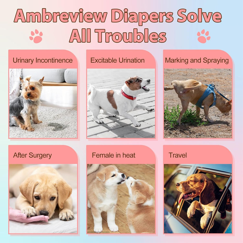 Ambreview Disposable Dog Diapers Female, Just Pull It Up, M 10 PCS | Doggie Diapers for Female Dogs • Strong Absorbency • Leak-Proof Protection • Ideal for Dogs in Heat, Senior & Disabled Dogs
