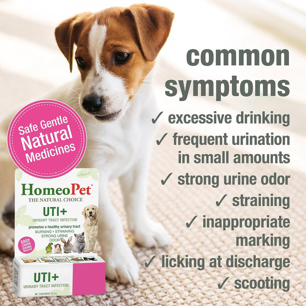 HomeoPet UTI+ Urinary Tract Supplement for Dogs and Cats, 15 Milliliters