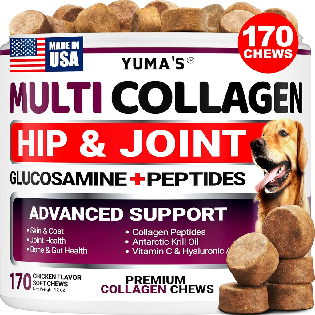 YUMA'S Glucosamine for Dogs - 240 Chews - Hip & Joint Supplement for Dogs | Chondroitin, MSM, Salmon Oil & Turmeric Chews, Joint Pain Relief & Mobility for Large, Medium & Small Breed Dogs, Made in USA