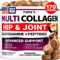 YUMA'S Glucosamine for Dogs - 240 Chews - Hip & Joint Supplement for Dogs | Chondroitin, MSM, Salmon Oil & Turmeric Chews, Joint Pain Relief & Mobility for Large, Medium & Small Breed Dogs, Made in USA