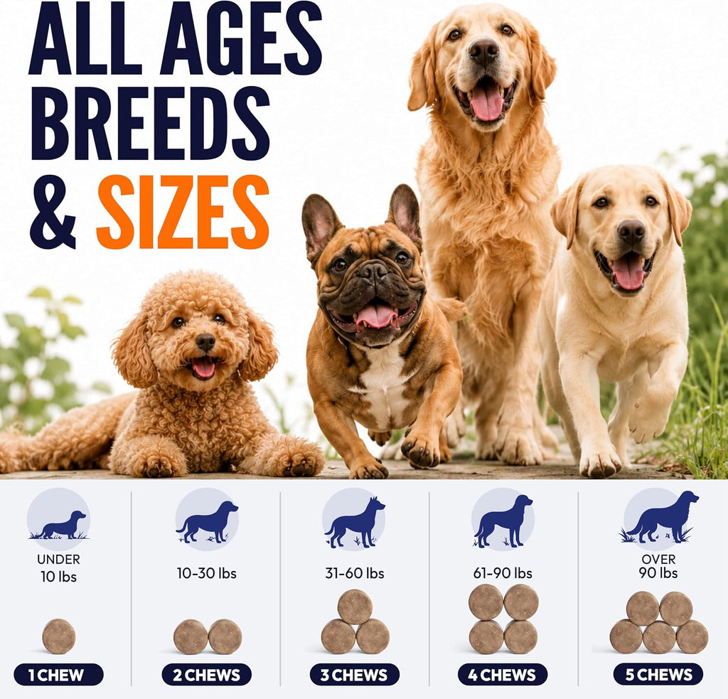 Probiotics for Dogs - 250 Dog Probiotics Chews - Digestive Enzymes Support | Gut Health Support, Diarrhea, Gas & Constipation Relief Supplement, Itchy Skin, Allergies & Yeast Balance, Made in USA
