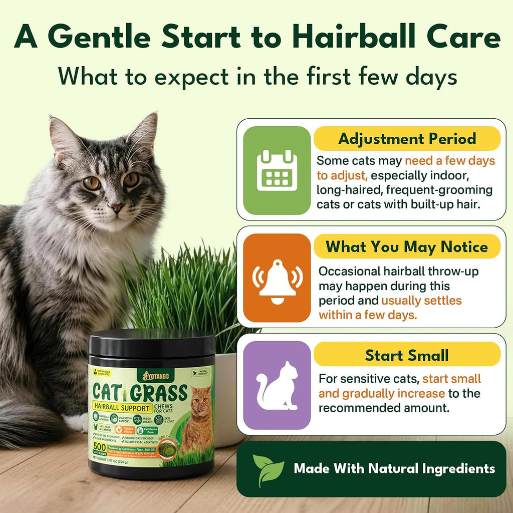 Cat Grass Treats Chews, Cat Treats for Indoor Cats 500 Ct, Hairball Control