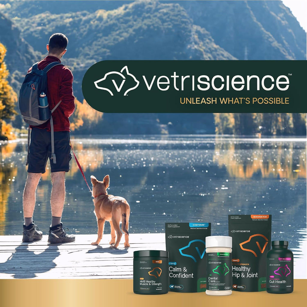 VetriScience Dental Care Powder for Dogs and Cats, 4.2 oz | Helps Reduce Plaque & Tartar Buildup, Clean Teeth & Fresher Breath, Clinically Tested, Vet-Formulated Oral Supplement