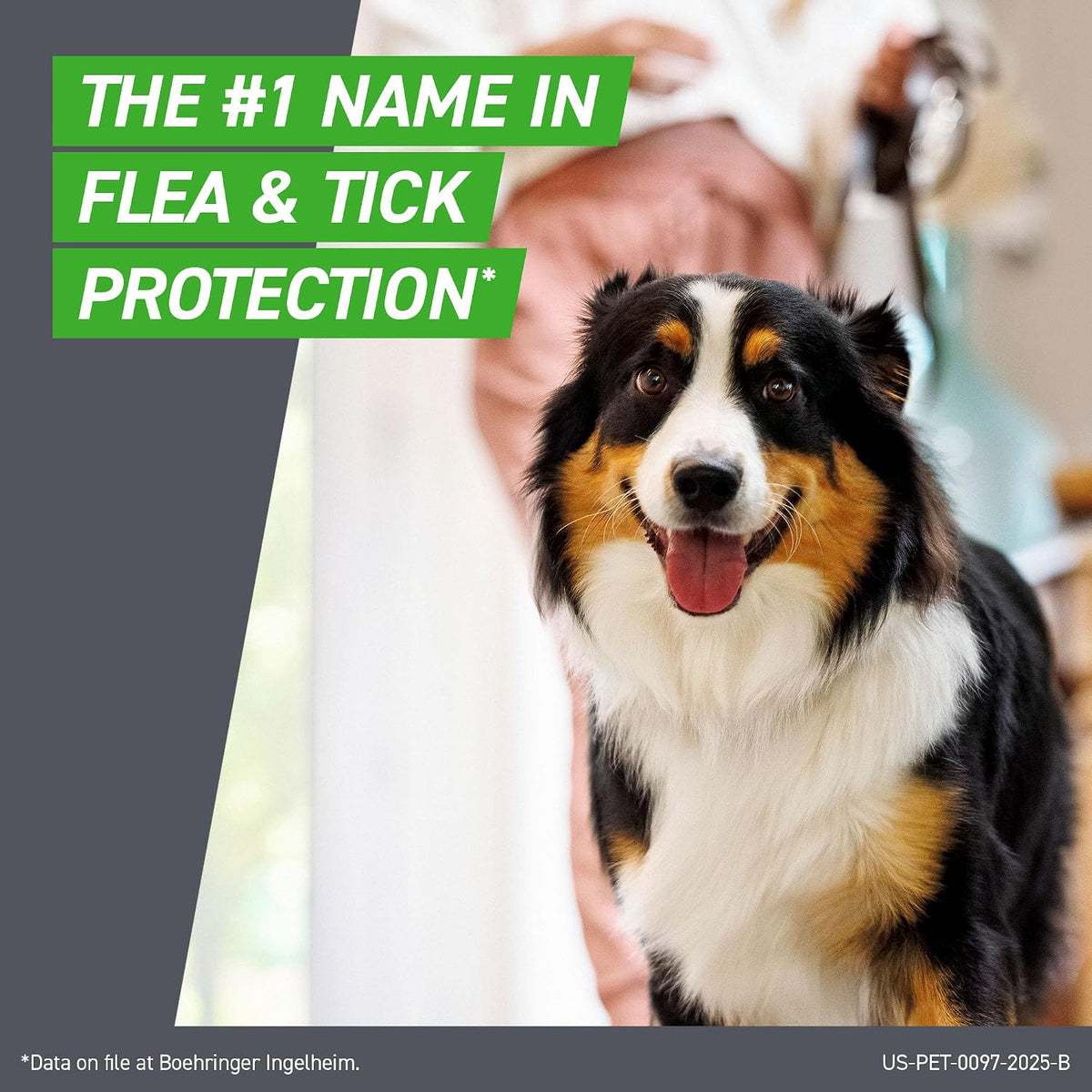 Frontline Plus for Dogs Medium Dog (23-44 pounds) Flea and Tick Treatment, 6 Doses | Trusted by pet owners for over 20 years,² kills fleas, ticks & chewing lice, waterproof 24 hr