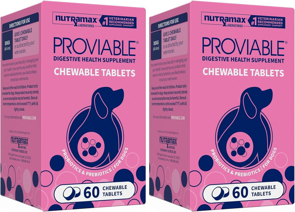 Nutramax Proviable Probiotics + Prebiotics for Dogs, Chewable Tablets, 60ct | Multi-Strain Probiotic Supplement for Dogs, Daily Support for Digestive & Gut Health, Contains Prebiotics, Chewable Tablets