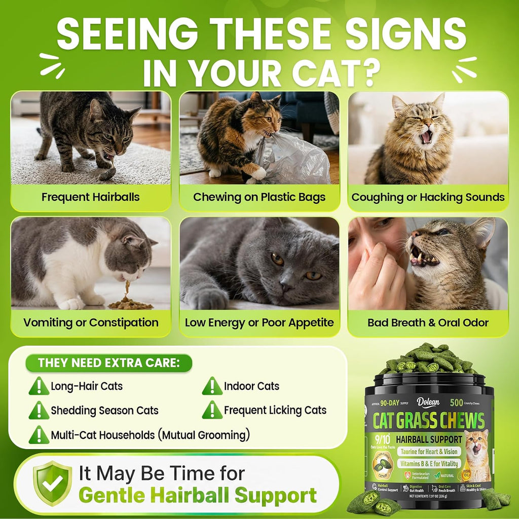 Cat Grass Treats, Hairball Treatment for Cats, for Indoor Cats, 500 Chews