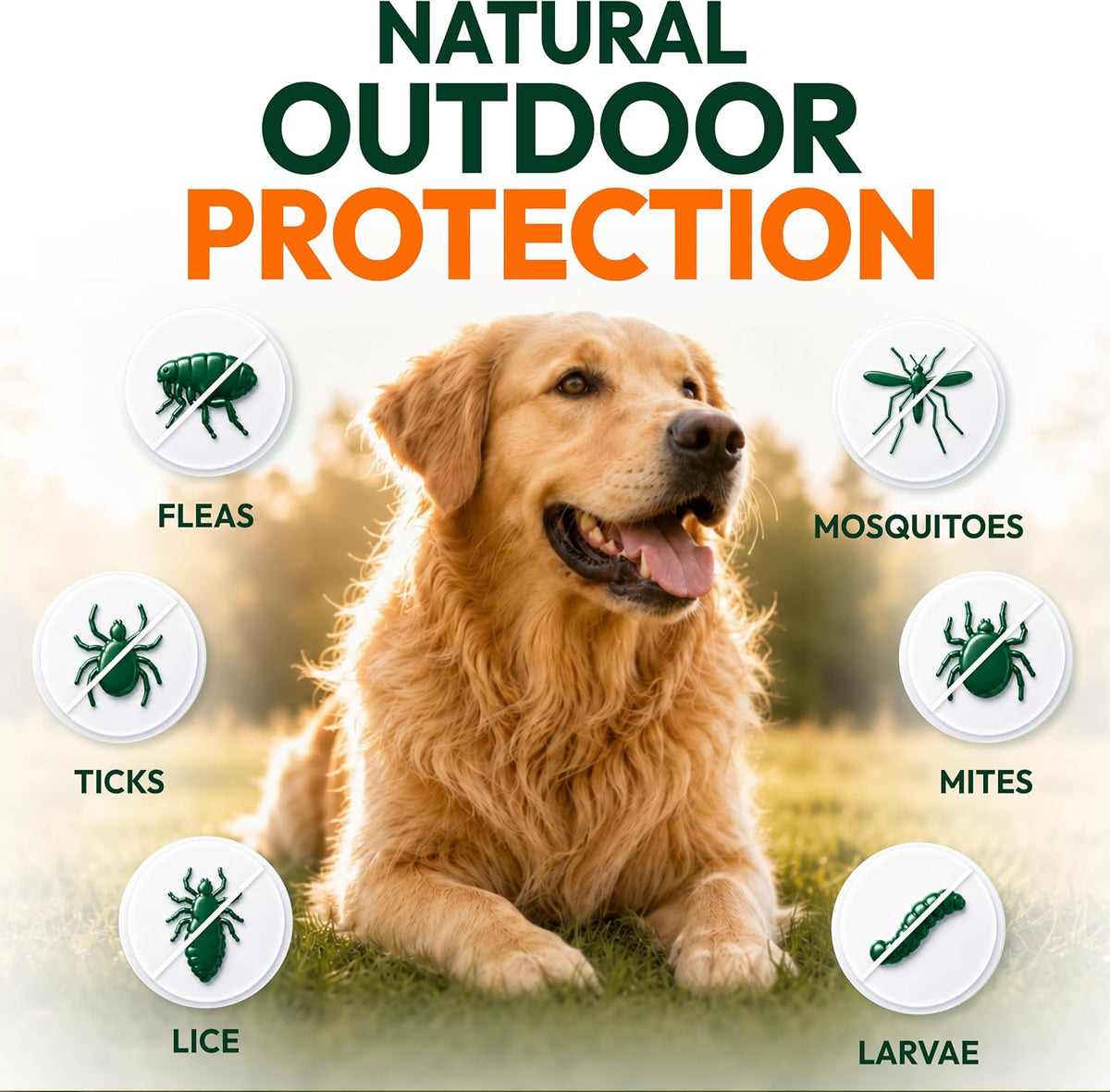 Flea and Tick Prevention for Dogs Pills - 250 Chews - Flea & Tick Control | Natural Dog Oral Defense Treatment Supplement - Vet Formulated Chews - All Breeds & Ages - Immune Support - Made in USA