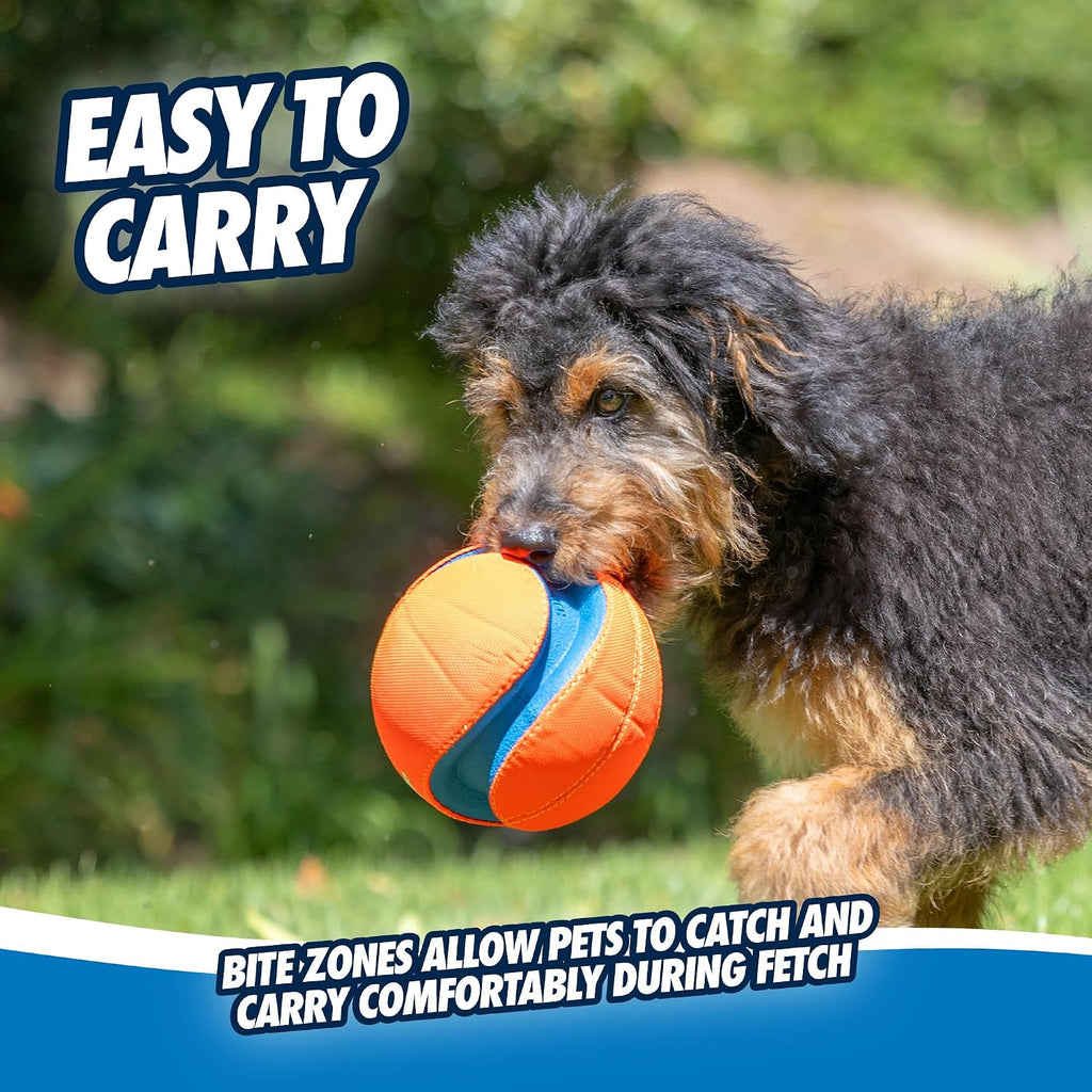 Chuckit! Kick Fetch Ball Dog Toy, Large, 8in, for Large Dogs, Floats | Floats in Water for Interactive Play and Fetch with Large Dogs; Durable Construction Withstands Rugged Outdoor Use