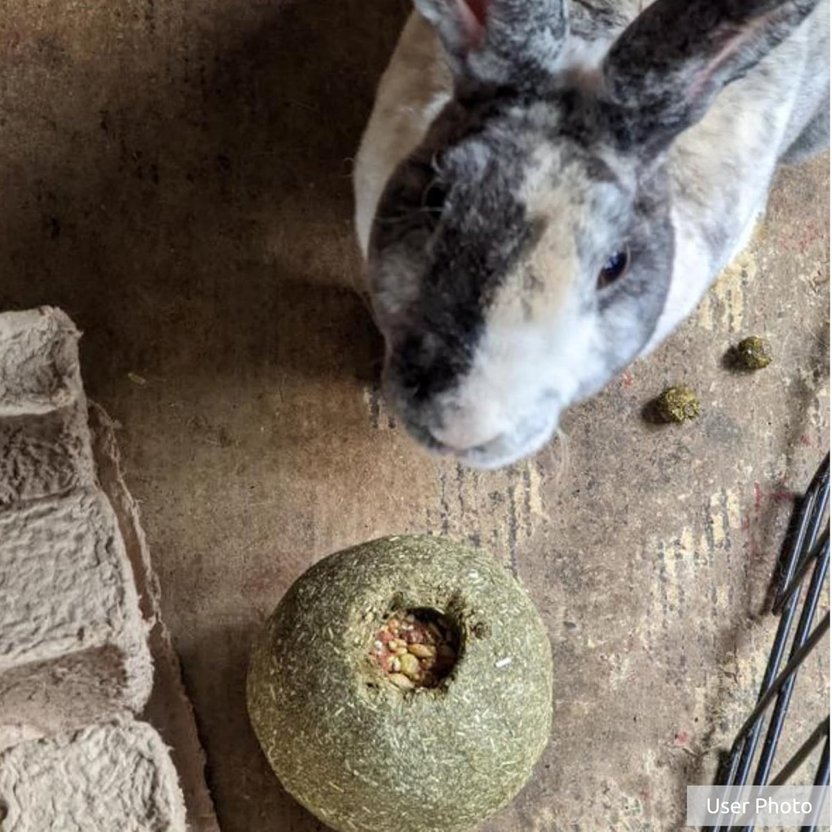 Kaytee Timothy Roll 'n' Toss Toy and Treat for Rabbits, Guinea Pigs