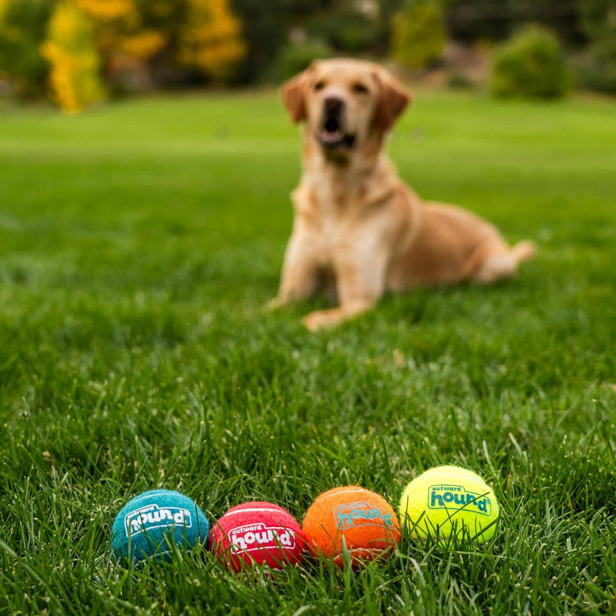 Outward Hound Squeaker Ballz Tennis Ball Dog Toy, Medium, 2.5", 4‑Pack | Squeaks & Bounces, Bright Colors, Interactive Fetch & Training, Indoor Outdoor, Moderate Chewers, Medium Dogs (Under 50 lbs)