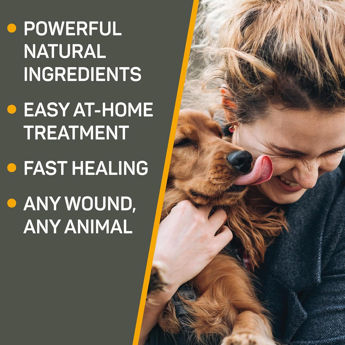 Silver Honey Hot Spot & Wound Care Pet First Aid Ointment, 2 oz Tube | Manuka Honey, MicroSilver BG, Dog, Cat, Small Animal, Fast-Acting Results, At Home Treatment, Thick, Creamy, Antibiotic-Free