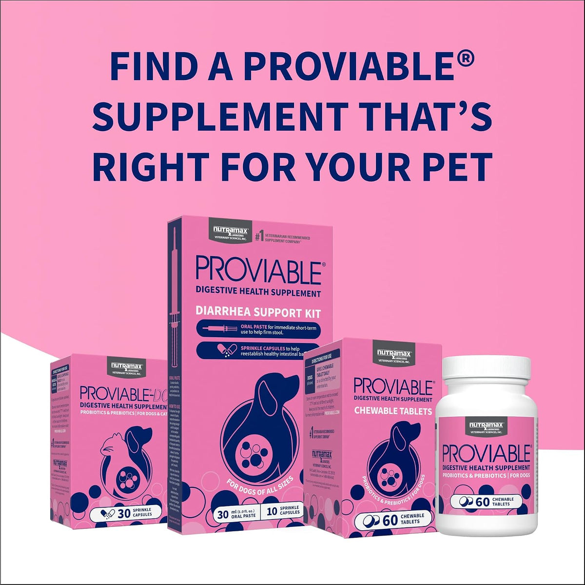 Nutramax Proviable Probiotics + Prebiotics for Dogs, Chewable Tablets, 60ct | Multi-Strain Probiotic Supplement for Dogs, Daily Support for Digestive & Gut Health, Contains Prebiotics, Chewable Tablets